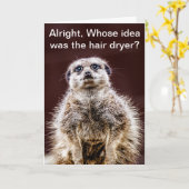 Föhnfrisur meerkat karte (Gelbe Blume)