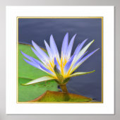 Foil Accent Yellow & Lavender Water Lilie Print Foliendrucke (Vorderseite)