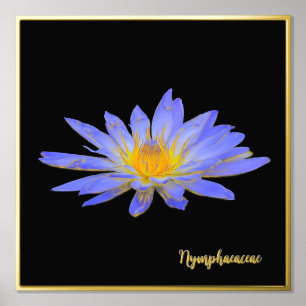 Foil Accessoire Water Lily Design Print Poster Art