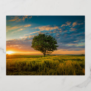 Foil Holiday Post Card Folien Feiertagspostkarte