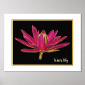 Foil Water Lily Print Poster (Vorderseite)