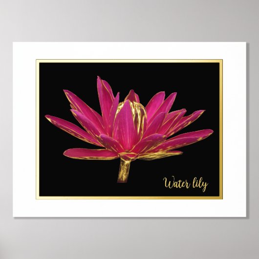 Foil Water Lily Print Poster (Vorderseite)