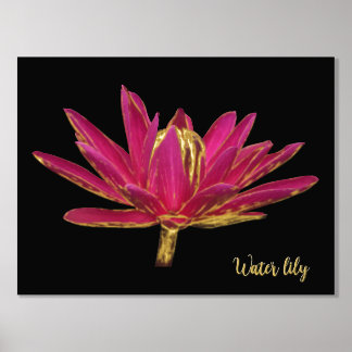 Foil Water Lily Print Poster