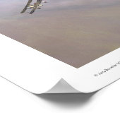 Fokker D.III Poster (Ecke)