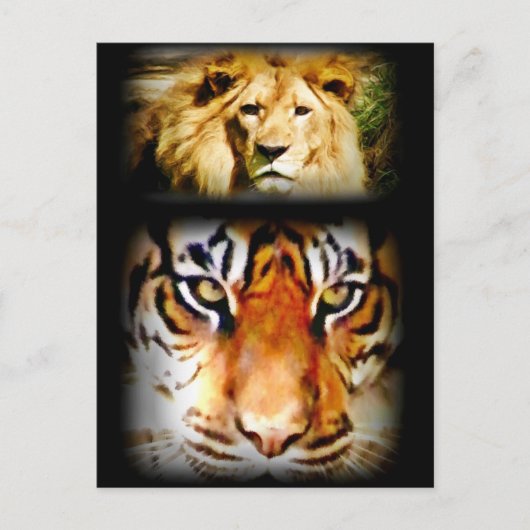 Fokus & Courage_ Postkarte (Vorderseite)