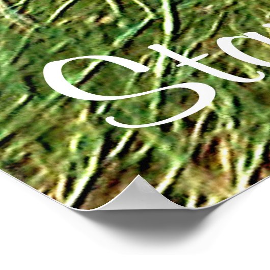 Fokus _ Poster (Ecke)