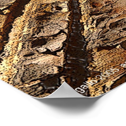 Fokus von Gregory Gallo Poster (Ecke)