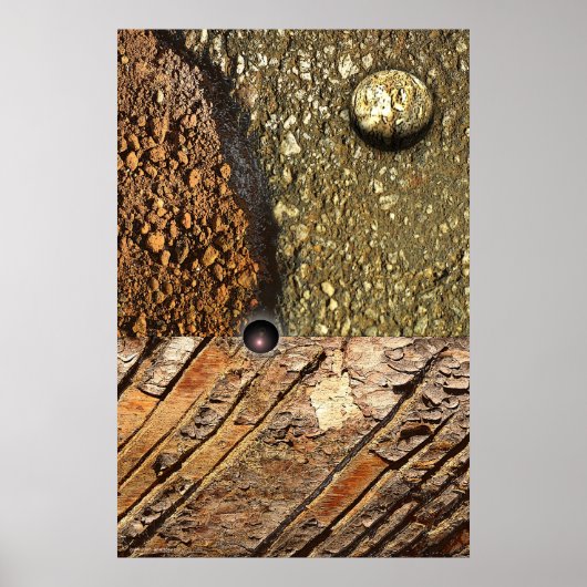 Fokus von Gregory Gallo Poster (Vorne)