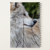 Fokussierendes Zitat zur Wolf-Image-Inspiration Notizblock (Rückseite)