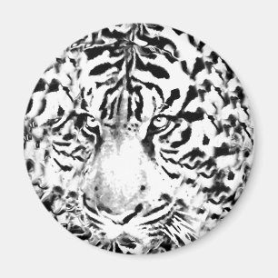 Fokussiert bleibe#5_ magnet