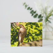 Fokussiert Postkarte (Stehend Vorderseite)