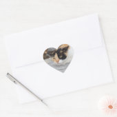 Fokussierter Katzenheftaufkleber Herz-Aufkleber (Umschlag)