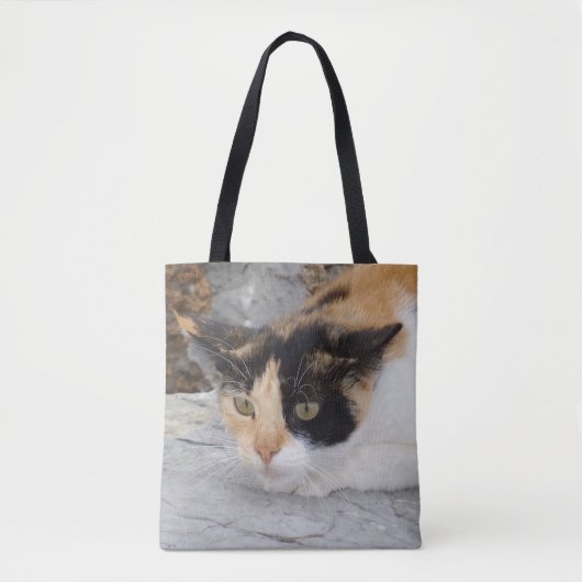 Fokussierter Katzenratzer Tasche (Vorderseite)