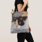 Fokussierter Katzenratzer Tasche (Von Nahem)