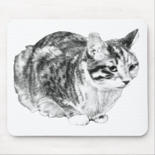 Fokussierter Tabby, Samttische Töne Mousepad