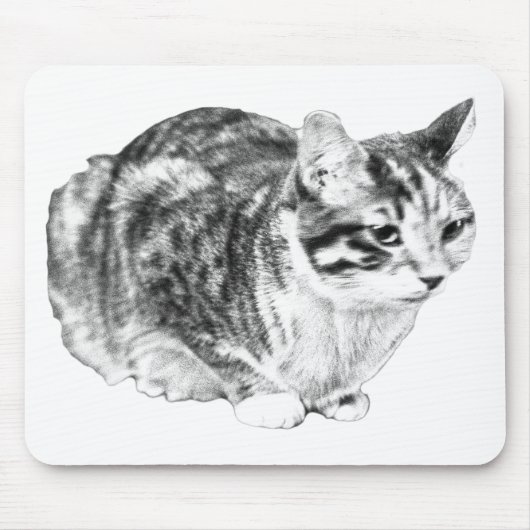 Fokussierter Tabby, Samttische Töne Mousepad (Vorne)