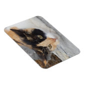 Fokussiertes Cat 3"x4"-Magnet Magnet (Rechte Seite)