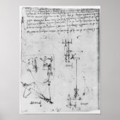 Fol. 46v, vom Codex Forster III, 1480s-1494 Poster (Vorne)