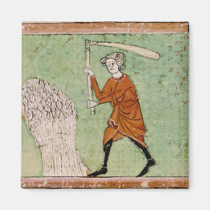 Fol.59r August: Dreschender Weizen Magnet