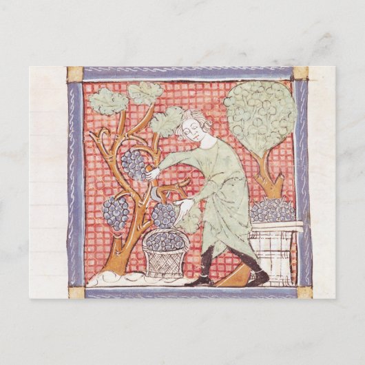 Fol.59r September: Die Ernte Postkarte (Vorderseite)