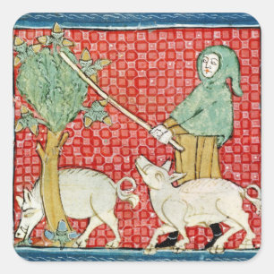 Fol.59v November: Ansammlung Acorns Quadratischer Aufkleber