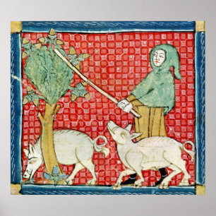 Fol.59v November: Ansammlungs-Eicheln Poster