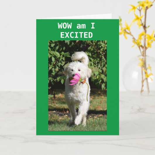 Folded Greeting Card Karte (Gelbe Blume)