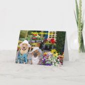 Folded Greeting Card Karte (Vorderseite)