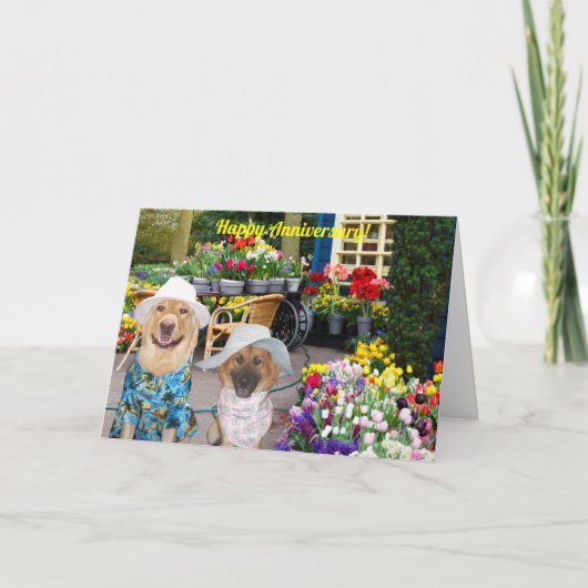 Folded Greeting Card Karte (Vorderseite)