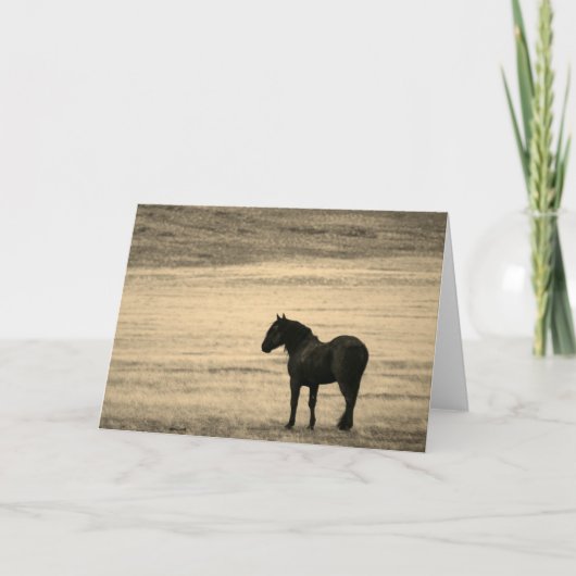 Folded Note Card Black Stallion ONAQUI HERD UTAH (Vorderseite)