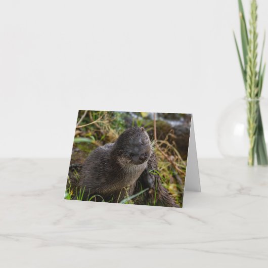 Folded Thank You Card Dankeskarte (Vorderseite)