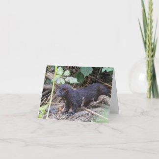 Folded Thank You Card Dankeskarte