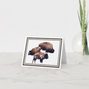 Folding Greeting Card - Bison in Winter Karte