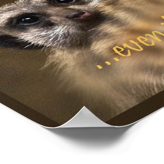 Folge deinen Träumen! Poster (Ecke)