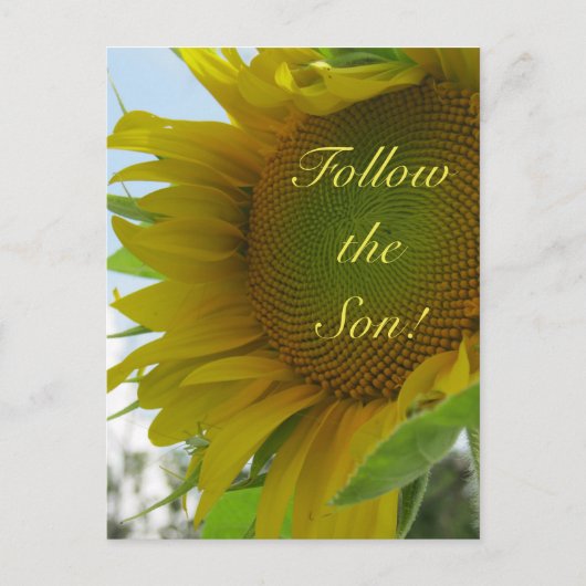 Folge dem Sohn! Christliche Nachricht auf einer Po Postkarte (Vorderseite)