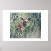 Folge mir. poster (Vorne)