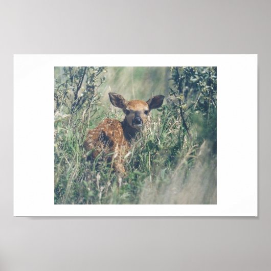 Folge mir. poster (Vorne)