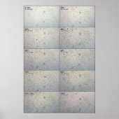 Folgediagramm der Zusammenhänge Poster (Vorne)