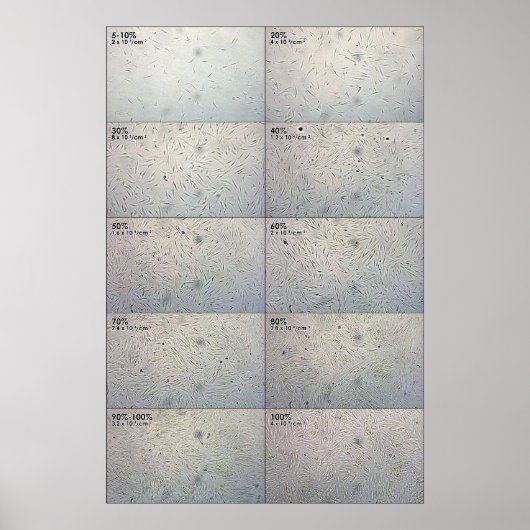 Folgediagramm der Zusammenhänge Poster (Vorne)