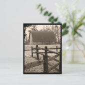Folgen Postkarte (Stehend Vorderseite)