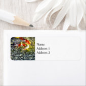 Folgen Sie dem Führer (Insitu)