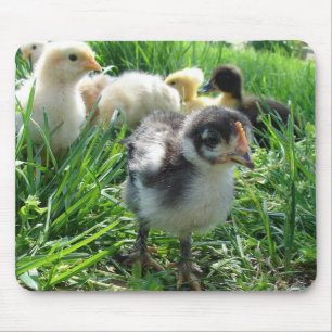 Folgen Sie dem Führer Mousepad