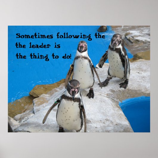 Folgen Sie dem Führer Poster (Vorne)