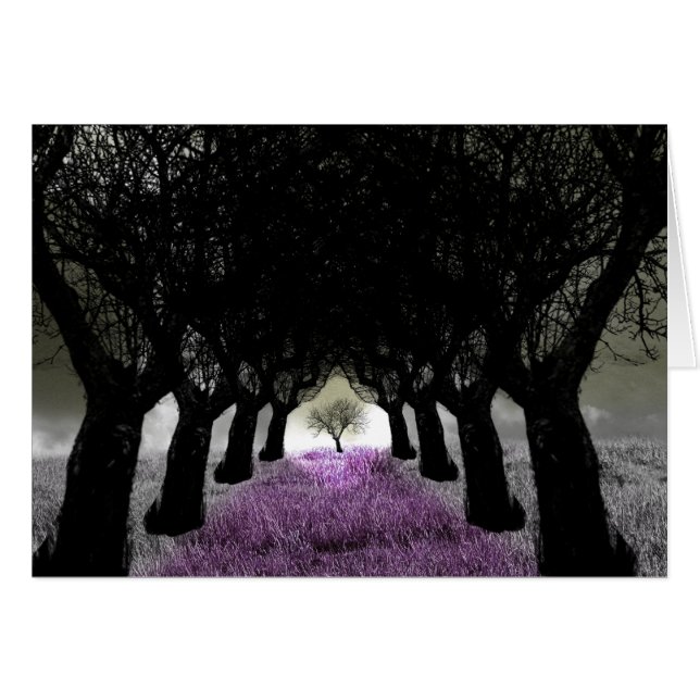 Folgen Sie dem Lila Grasweg (Vorderseite (Horizontal))