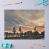 Folgen Sie dem Sun Seidenpapier (Basteln)