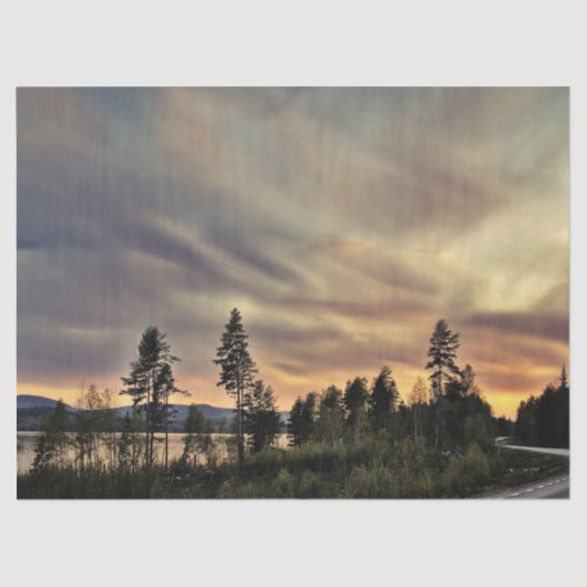 Folgen Sie dem Sun Seidenpapier (Vorderseite)