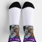 Folgen Sie dem Weg der Katzen, und seine Philosoph Socken (Oben)