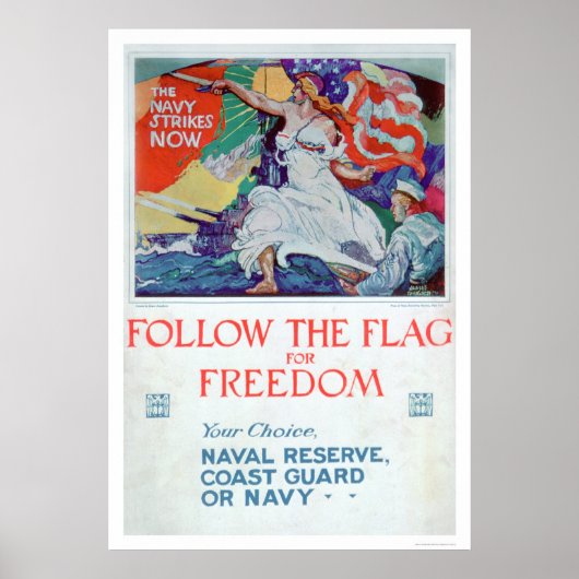 Folgen Sie der Flagge der Freiheit (US02179) Poster (Vorne)