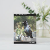 Folgen Sie der Flock nach Florida Postkarte (Stehend Vorderseite)