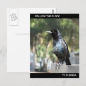 Folgen Sie der Flock Post Card Florida Postkarte (Vorne/Hinten)